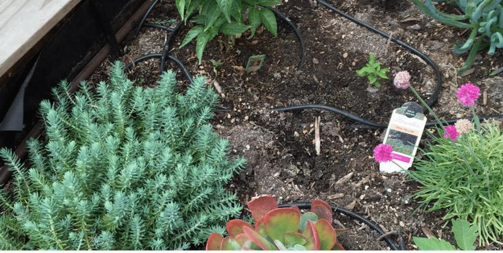Beginners Guide: 1/4 Inch Distribution Tubing For Drip Irrigation 1 Screen Shot 2015 05 09 at 3.59.42 PM 1 large
