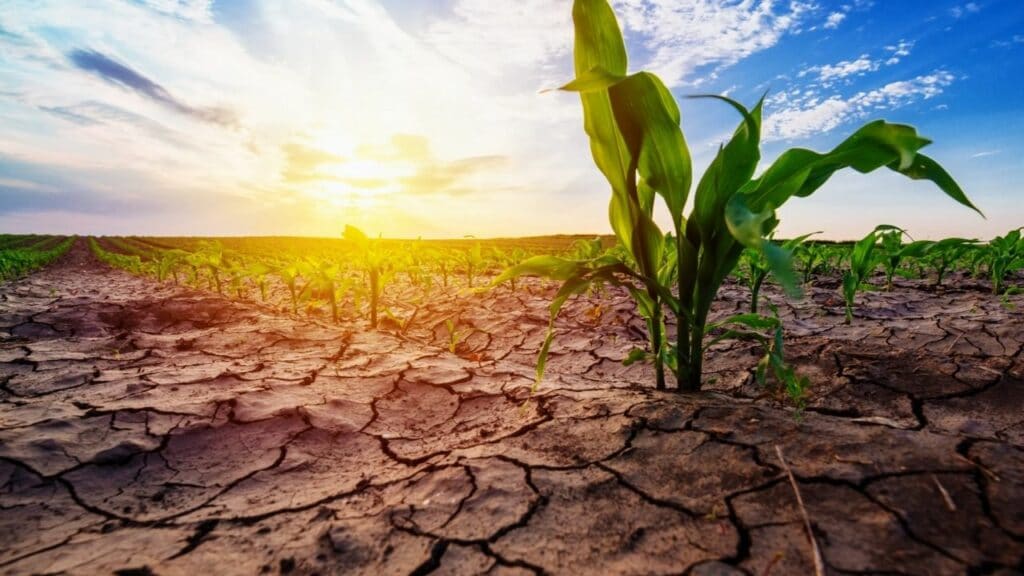 5 Causes Of Drought 1 5 Causes Of Drought