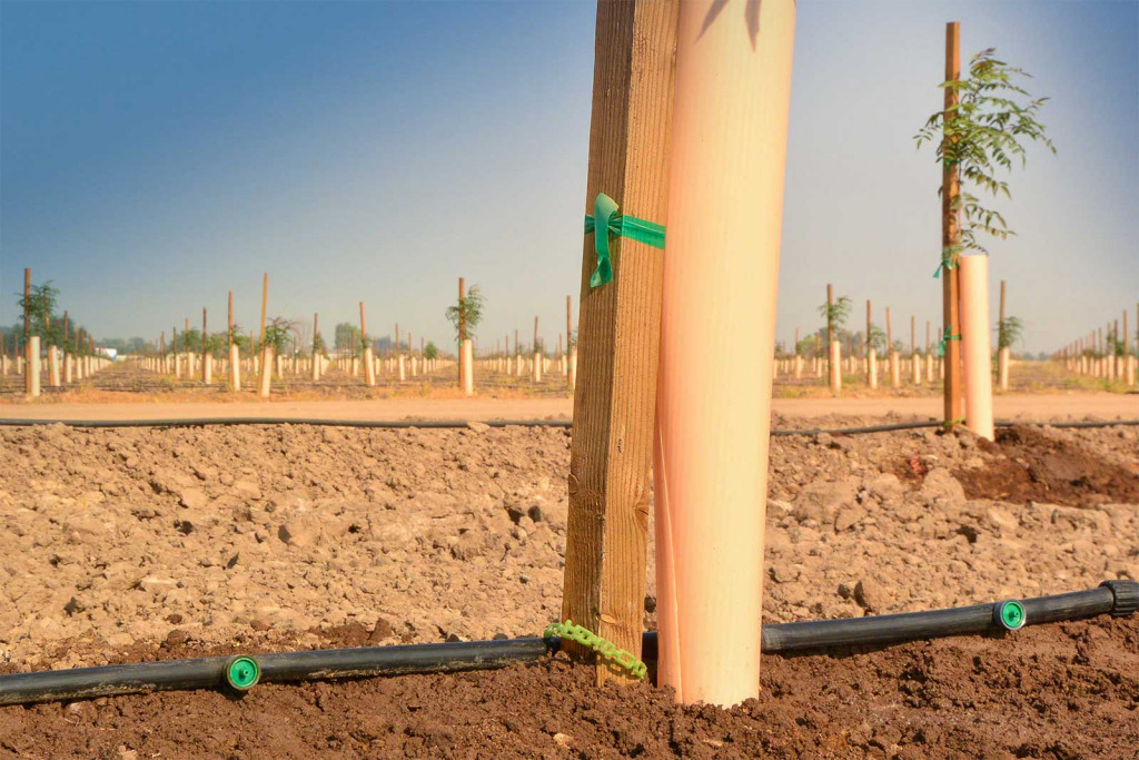 The Ultimate Cheat Sheet On Micro Irrigation 1 micro tubing irrigation 1 large