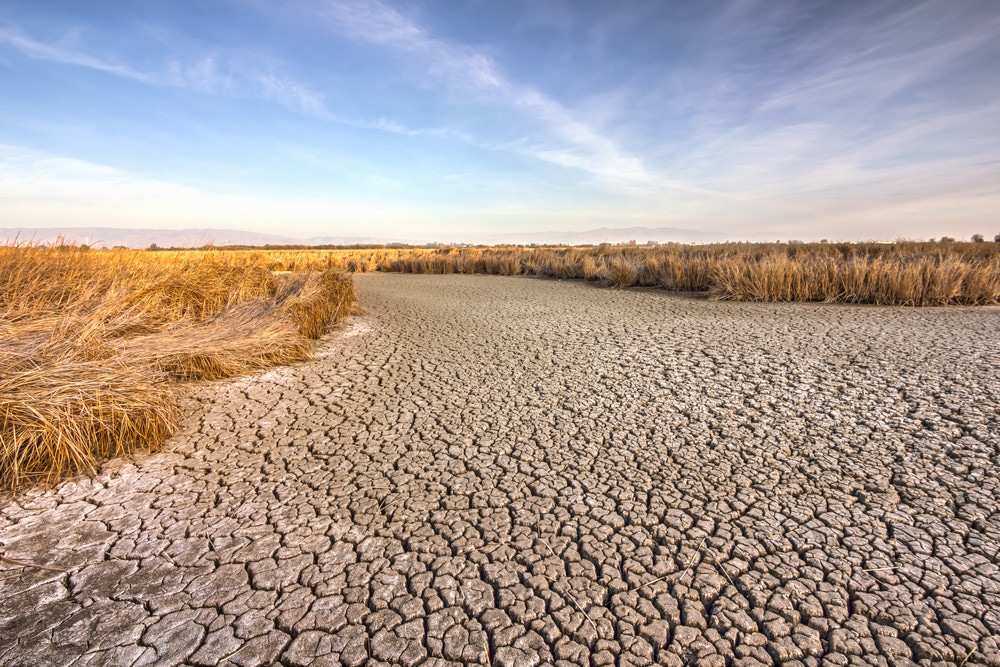 California Drought Resources 1 Fremont CA1 1 large
