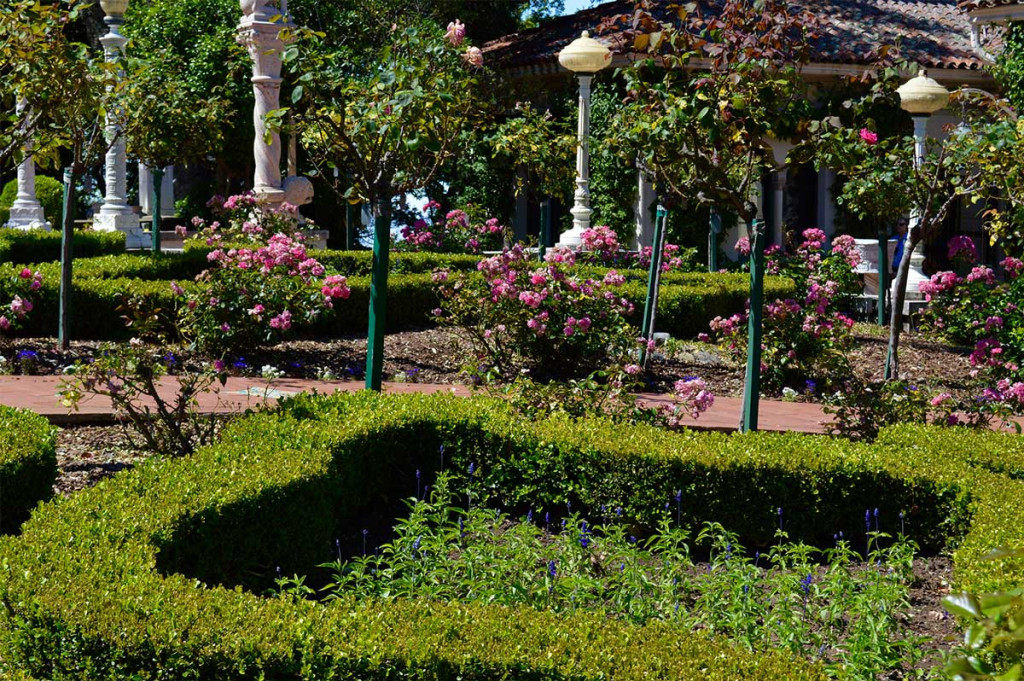 Watering Your Landscape – Be Aware Of These 5 Variables 1 Watering Your Landscape 1 1 large