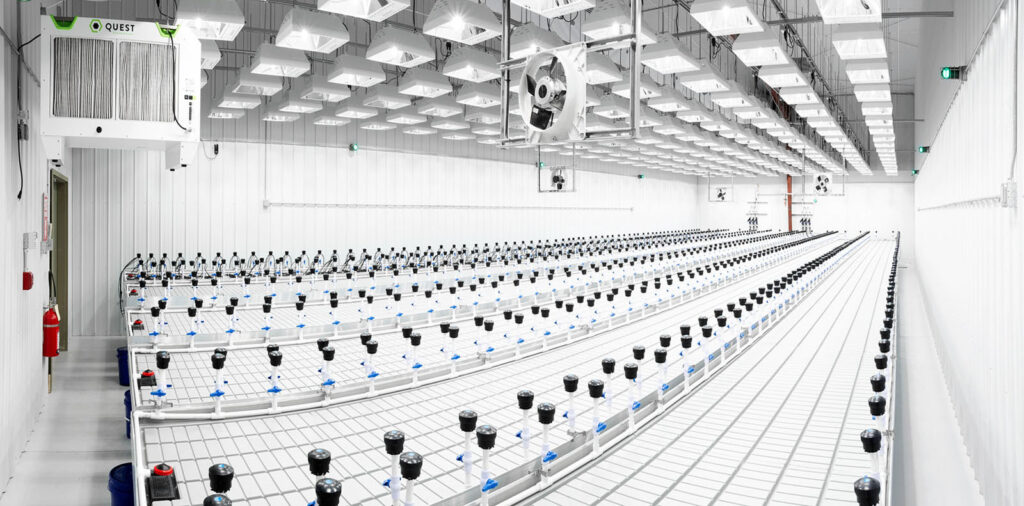 Octa Bubbler Jain Online Store