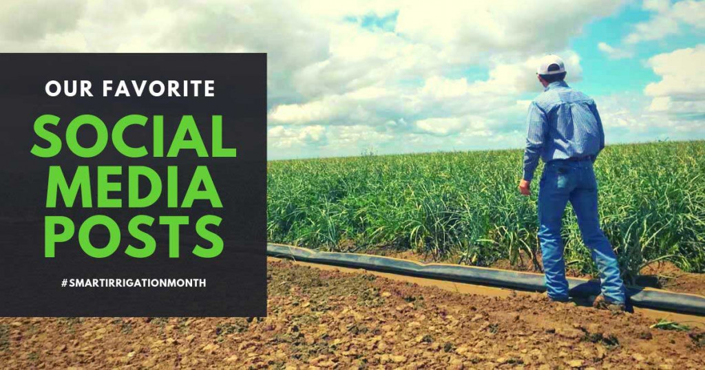 Our Favorite Social Media Posts For Smart Irrigation Month large