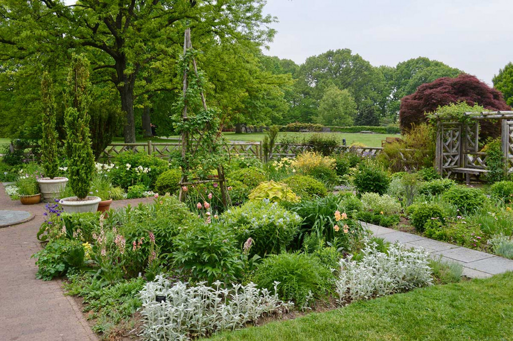 10 Tips For Busy Gardeners That Save Water 1 10 Tips For Busy Gardeners That Save Water 2 large