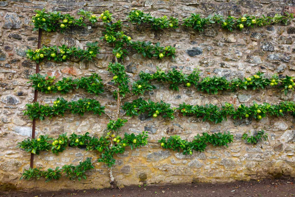 3 Easy Improvements For Your Garden 3 3 Easy Improvements For Your Garden large