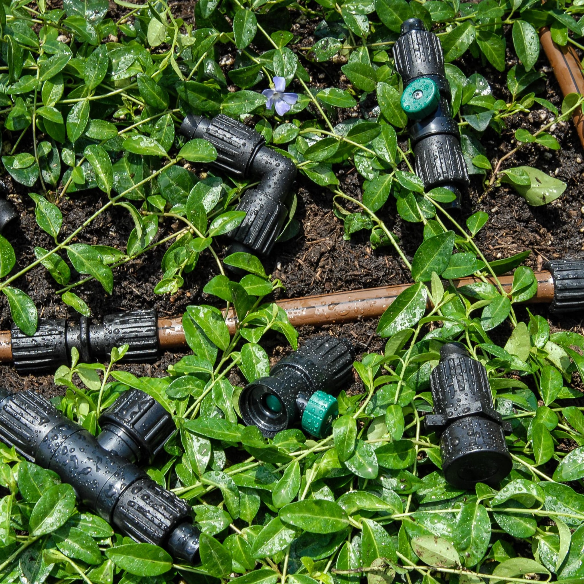 How to Change a Sprinkler Head to a Drip Line