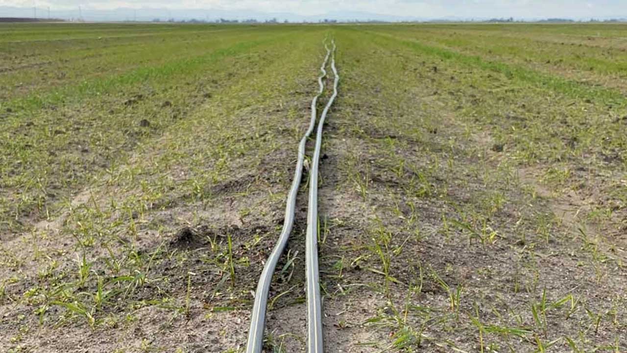 Drip Tape Selection Guide JAIN by Rivulis