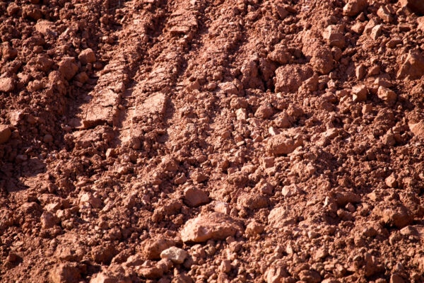 Clay Soil: What It Is and How to Improve It