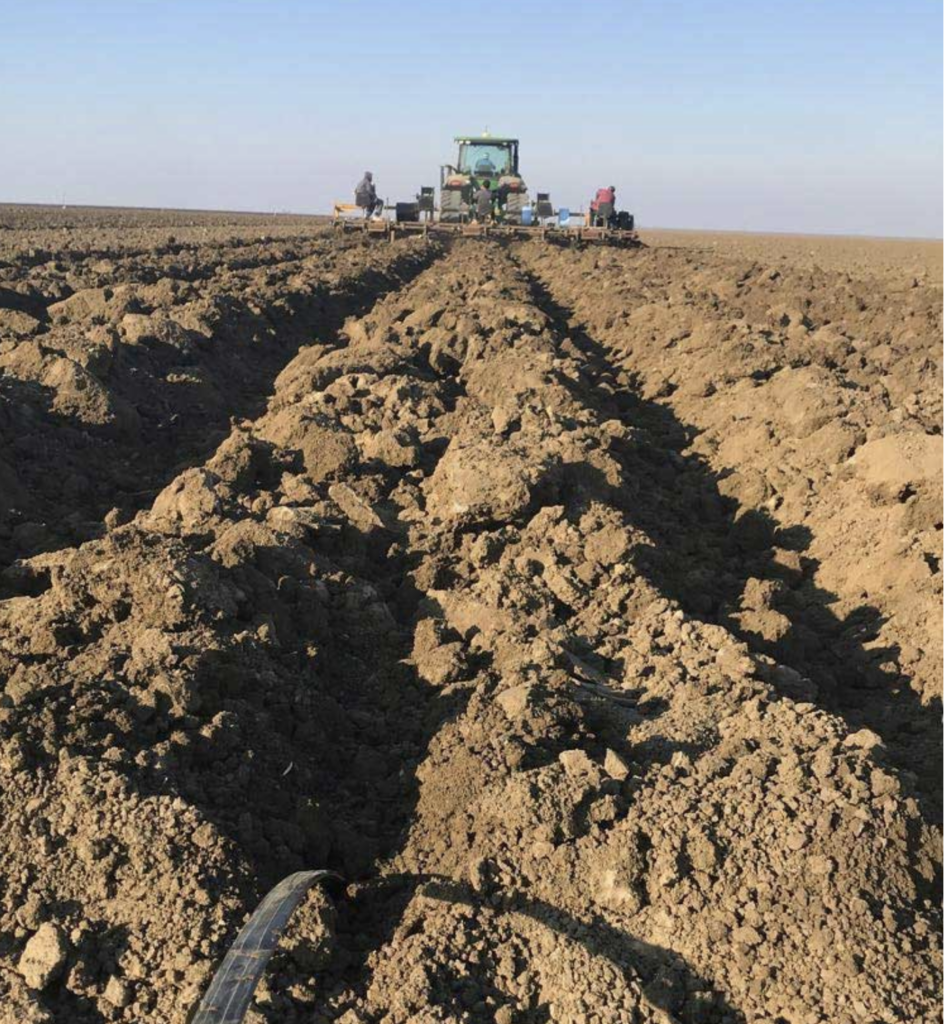 5 Smart Strategies For Better Soil Health 1 Screen Shot 2022 07 26 at 8.17.36 AM